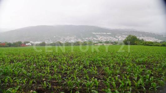 Jose Salazar 0001,, Chilpancingo De Los Bravo, ゲレロ 39075, メキシコ