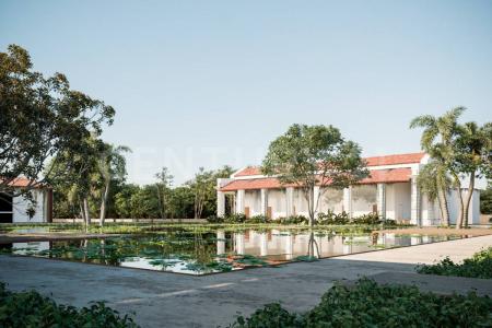 Carretera Telchac-Puerto s/n,, Telchac Pueblo, 유카탄 97400, 멕시코