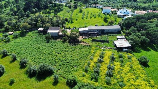 Pombal, Leiria 2350-012, Portugalia