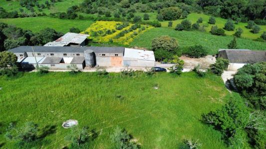 Pombal, Leiria 2350-012, Portugalia