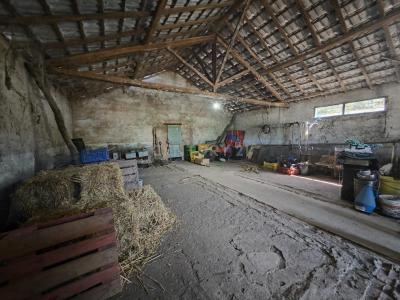 Pombal, Leiria 2350-012, Portugalia