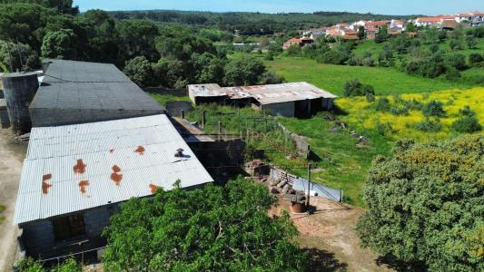 Pombal, Leiria 2350-012, Portugalia