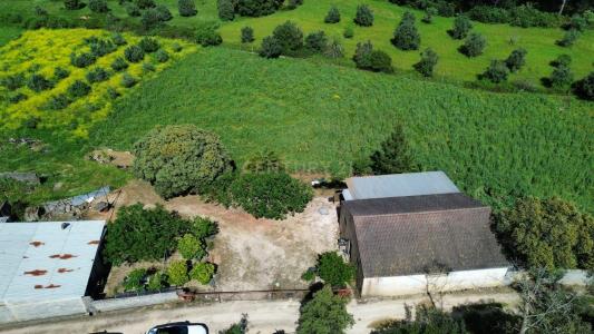 Pombal, Leiria 2350-012, Portugalia