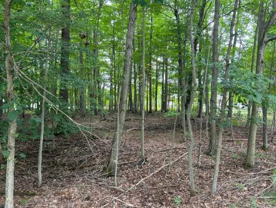 9523 Fawn Ridge Rd., Canadian Lakes, Michigan 49346, USA