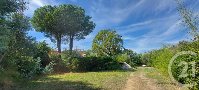 Cogolin, Provence-Alpes-Côte D'Azur 83310, France