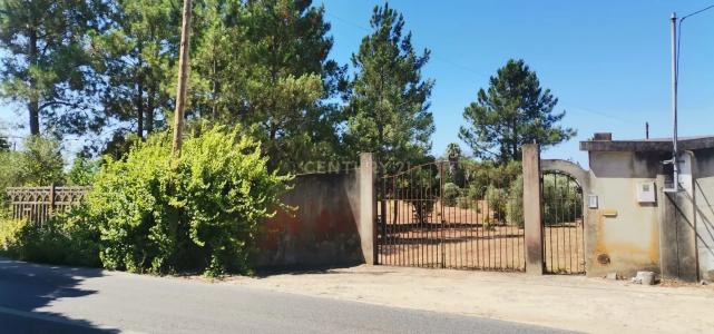 Setúbal, Setúbal 2910-002, Portugal