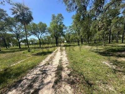 COLONIA JOSE FALCON , José Falcón, Presidente Hayes 00001, Paraguay