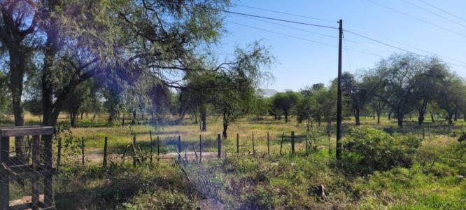 COLONIA JOSE FALCON , José Falcón, Presidente Hayes 00001, Paraguay