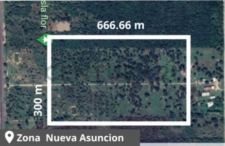 COLONIA JOSE FALCON , José Falcón, Presidente Hayes 00001, Paraguay