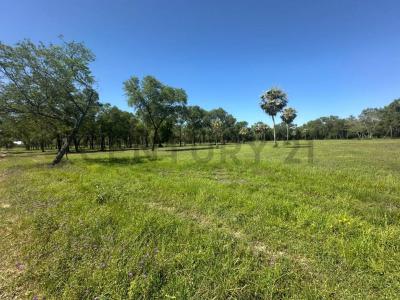 COLONIA JOSE FALCON , José Falcón, Presidente Hayes 00001, Paraguay