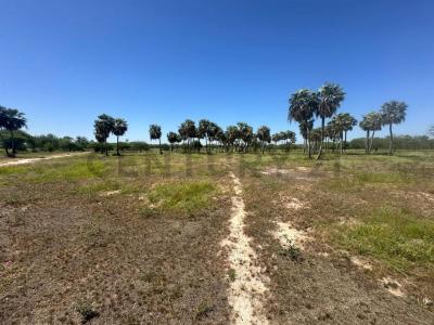 COLONIA JOSE FALCON , José Falcón, Presidente Hayes 00001, Paraguay