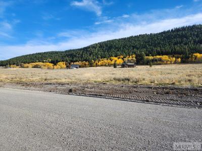 3735 Fisher Pointe Drive, Island Park, Idaho 83429, Stati Uniti
