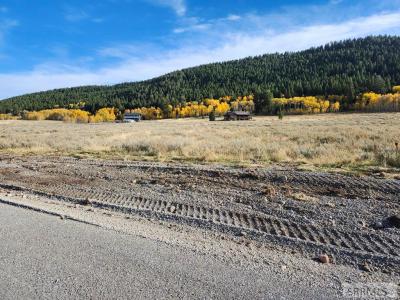3735 Fisher Pointe Drive, Island Park, Idaho 83429, Stati Uniti
