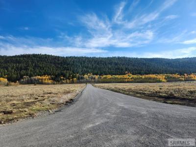 3735 Fisher Pointe Drive, Island Park, Idaho 83429, Stati Uniti