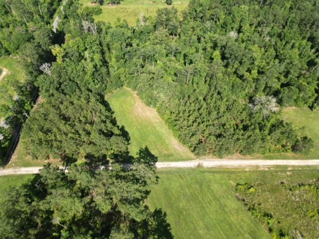 TBD Jack Nelson Rd., DeRidder, Louisiana 70634, Amerika Birleşik Devletleri