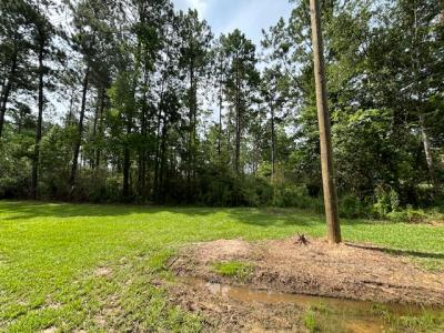 TBD Jack Nelson Rd., DeRidder, Louisiana 70634, Amerika Birleşik Devletleri