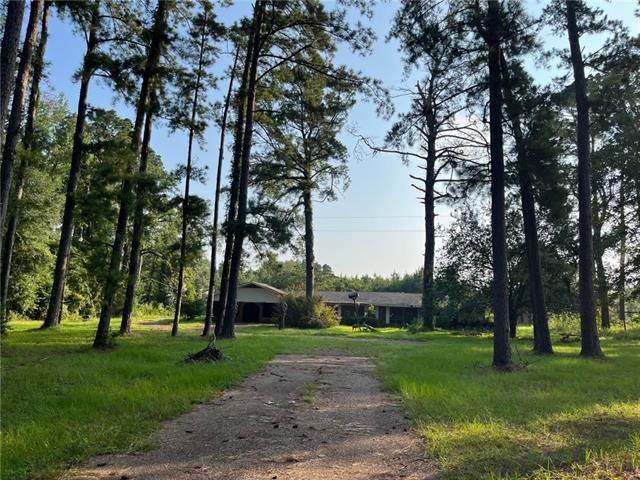 8744 HIGHWAY 112 Highway, Glenmora, Louisiana 71433, HOA KỲ