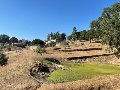 Abrantes, 圣塔伦 2200-629, 葡萄牙