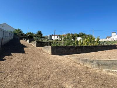 Abrantes, Santarém 2200-629, Portugal