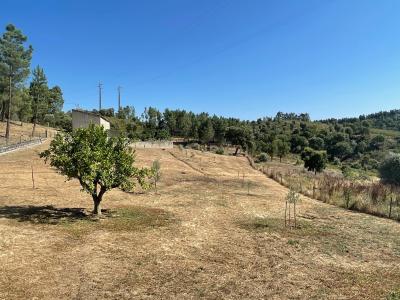 Abrantes, Santarém 2200-629, Portugal