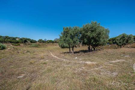 Seixal, Setúbal 2840-100, Portugal