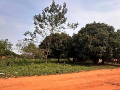 Posta Ybycua , Capiatá, Central 00001, Paraguay