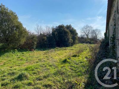 Vaire, Pays De La Loire 85150, France