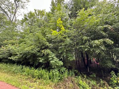 Lot 9 On Kellar Dr, Maine, Wisconsin 54452, USA