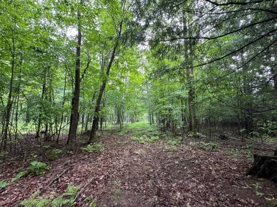 Lot 9 On Kellar Dr, Maine, Wisconsin 54452, USA