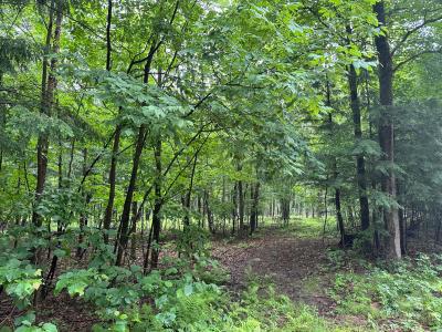 Lot 8 On Kellar Dr, مين, ولاية ويسكونسن 54452, الولايات المتحدة