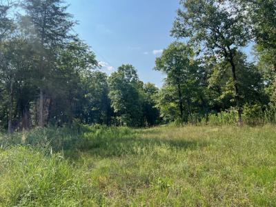 Unk Polk Road 25 E, Hatfield, أركنساس 71953, الولايات المتحدة