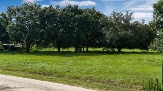 Locke Rd, Davenport, Floride 33837, États-Unis