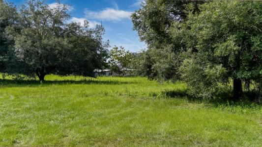 Locke Rd, Davenport, Floride 33837, États-Unis