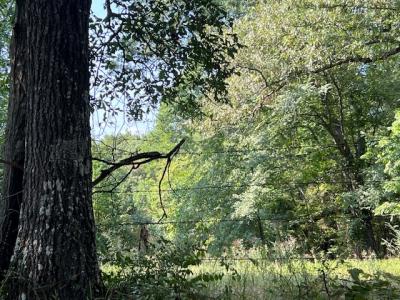 Unk Polk Road 25 E, Hatfield, Arkansas 71945, Estados Unidos