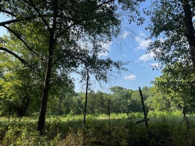 Unk Polk Road 25 E, Hatfield, Arkansas 71945, Estados Unidos