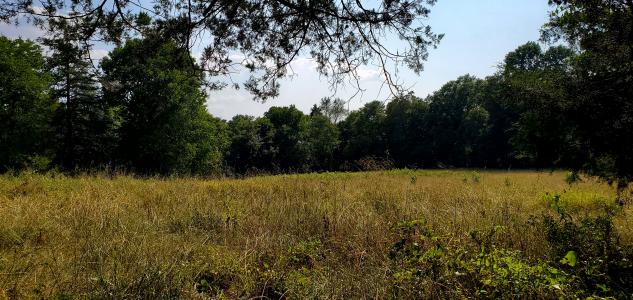 Unk Polk Road 25 E, Hatfield, Arkansas 71945, USA