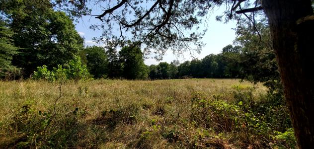 Unk Polk Road 25 E, Hatfield, Arkansas 71945, USA