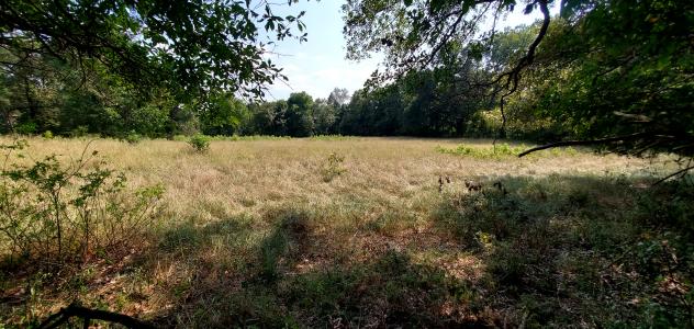 Unk Polk Road 25 E, Hatfield, Arkansas 71945, USA