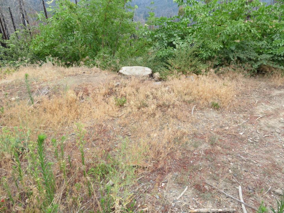 53009 Pine View Drive, Springville, קליפורניה 93265, ארצות הברית של אמריקה