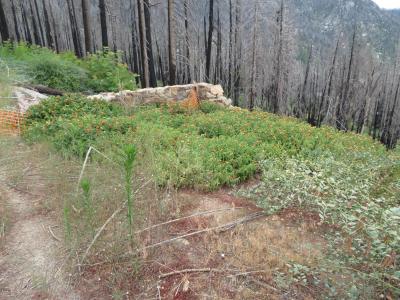53009 Pine View Drive, Springville, קליפורניה 93265, ארצות הברית של אמריקה