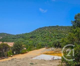 Oletta, Corse 20232, France