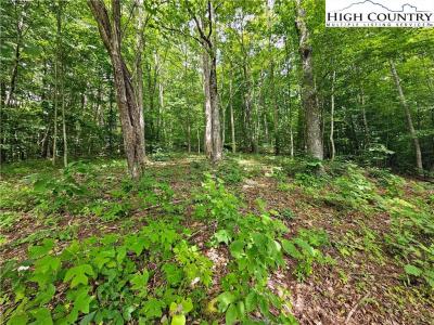 #36 Whispering Breeze Ridge, Todd, North Carolina 28684, USA