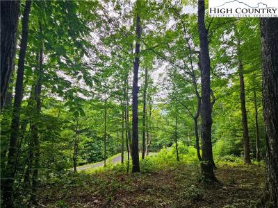 #36 Whispering Breeze Ridge, Todd, NC 28684, USA