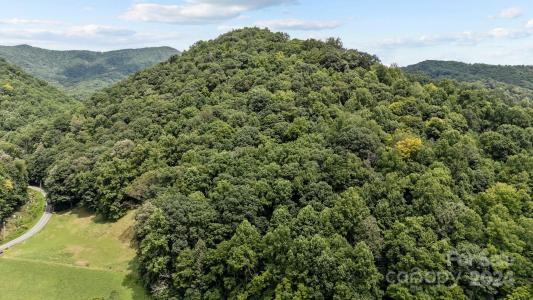 99999 Windswept Drive, Burnsville, North Carolina 28714