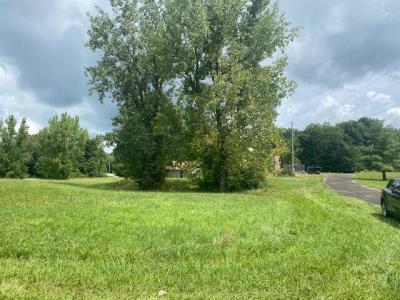 7326 State Route 19 Unit 1, Lots 62-63, Mount Gilead, Ohio 43338, Stati Uniti