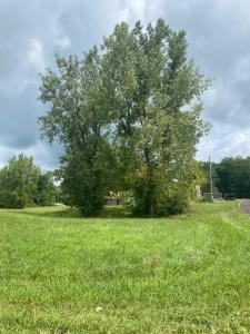7326 State Route 19 Unit 1, Lots 62-63, Mount Gilead, Ohio 43338, Estados Unidos