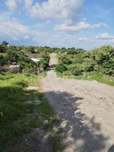 Av.  Aeropuerto s/n,, Temixco, Морелос 62595, Мексика