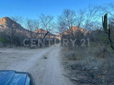 El Fuerte, Sinaloa 81800, Mexico