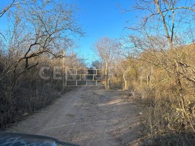 El Fuerte, Sinaloa 81800, Mexico