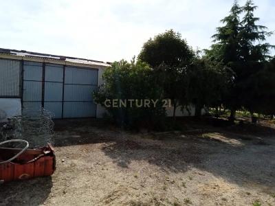 Salvaterra De Magos, Santarem 2120-180, Portugal